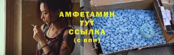 шишки Белоозёрский