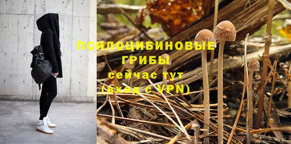 прущая мука Саяногорск