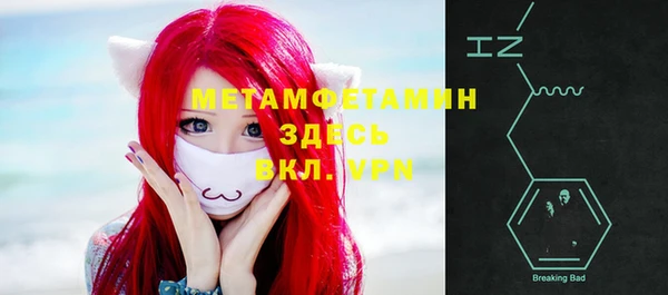 шишки Белоозёрский