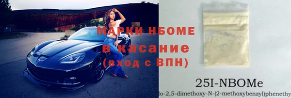 шишки Белоозёрский