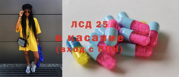 шишки Белоозёрский