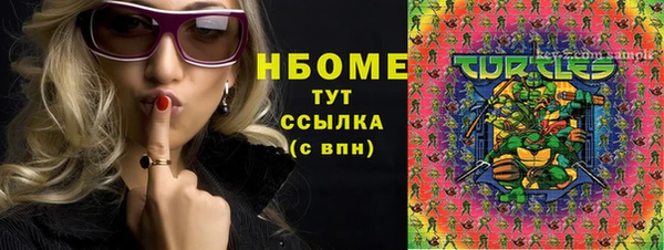 шишки Белоозёрский
